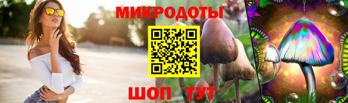 Псилоцибиновые грибы мицелий Калуга