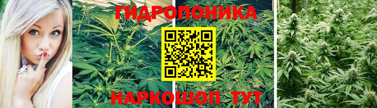 Калуга  Экстази  ГАШ  Вход с VPN  Мефедрон кристаллы  Кетамин  Меф  Канабис 